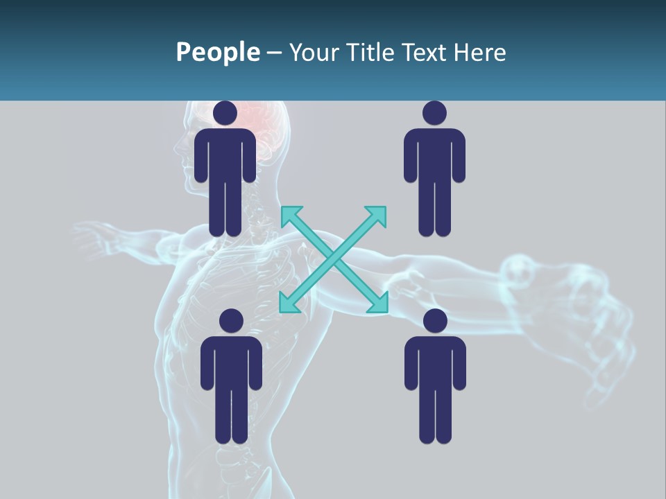 A Skeleton With A Red Brain In The Middle Of It PowerPoint Template