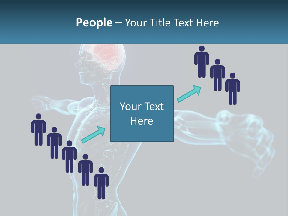 A Skeleton With A Red Brain In The Middle Of It PowerPoint Template