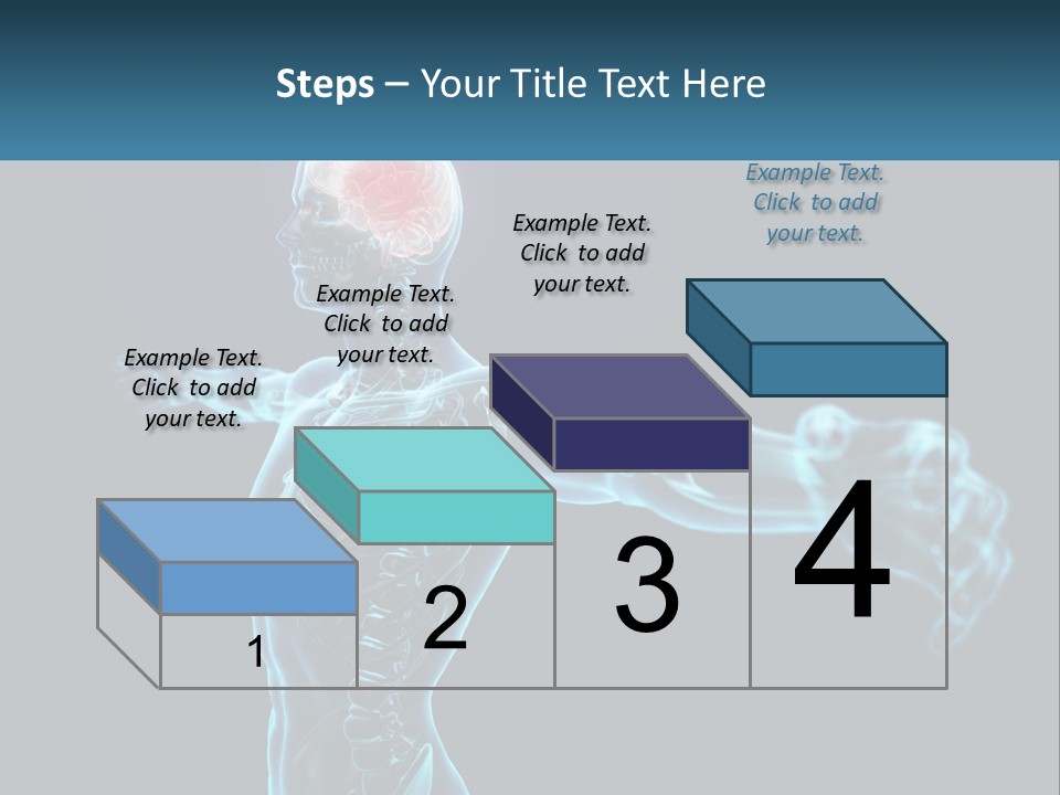 A Skeleton With A Red Brain In The Middle Of It PowerPoint Template