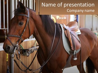 A Brown Horse Standing Next To A Stable PowerPoint Template