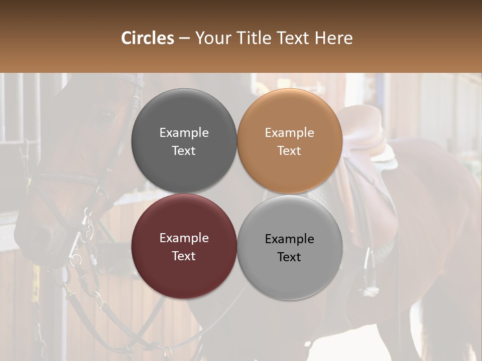 A Brown Horse Standing Next To A Stable PowerPoint Template