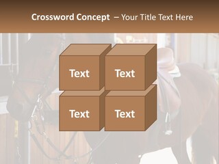 A Brown Horse Standing Next To A Stable PowerPoint Template