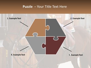 A Brown Horse Standing Next To A Stable PowerPoint Template