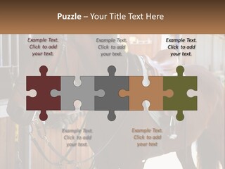 A Brown Horse Standing Next To A Stable PowerPoint Template