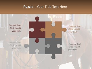 A Brown Horse Standing Next To A Stable PowerPoint Template