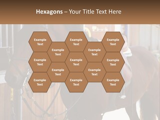 A Brown Horse Standing Next To A Stable PowerPoint Template