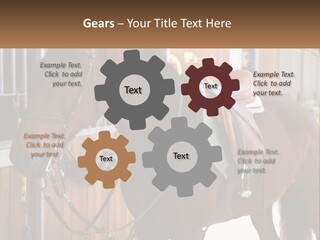 A Brown Horse Standing Next To A Stable PowerPoint Template