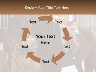 A Brown Horse Standing Next To A Stable PowerPoint Template
