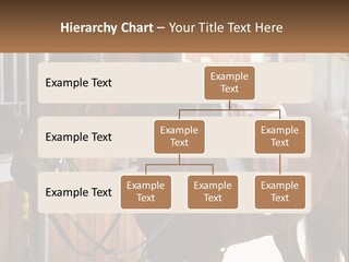 A Brown Horse Standing Next To A Stable PowerPoint Template