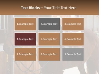 A Brown Horse Standing Next To A Stable PowerPoint Template