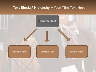 A Brown Horse Standing Next To A Stable PowerPoint Template