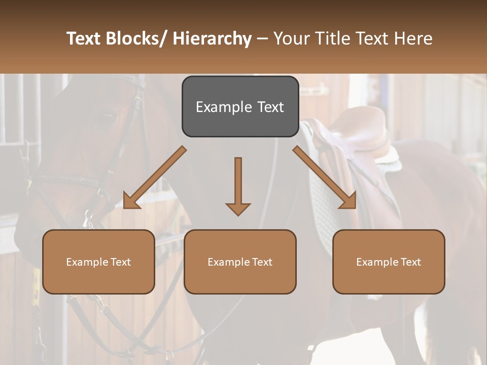 A Brown Horse Standing Next To A Stable PowerPoint Template