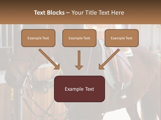 A Brown Horse Standing Next To A Stable PowerPoint Template