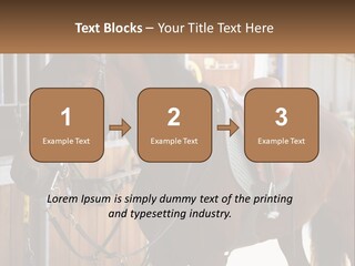 A Brown Horse Standing Next To A Stable PowerPoint Template