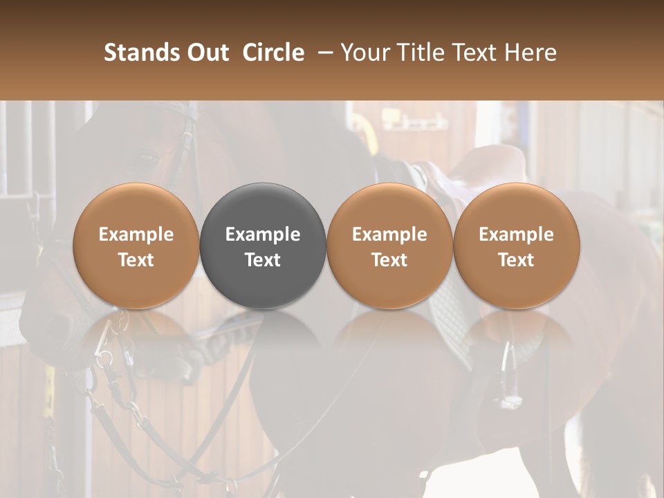 A Brown Horse Standing Next To A Stable PowerPoint Template