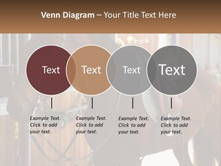 A Brown Horse Standing Next To A Stable PowerPoint Template