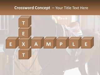 A Brown Horse Standing Next To A Stable PowerPoint Template