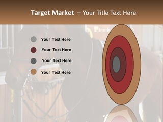 A Brown Horse Standing Next To A Stable PowerPoint Template