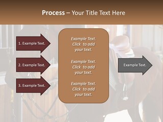 A Brown Horse Standing Next To A Stable PowerPoint Template