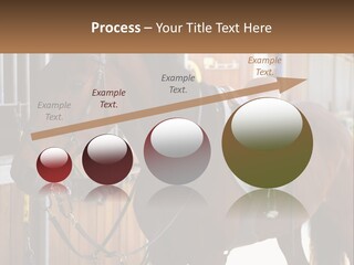 A Brown Horse Standing Next To A Stable PowerPoint Template