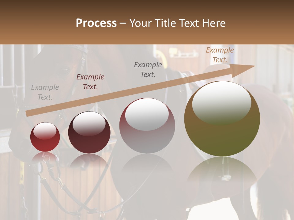 A Brown Horse Standing Next To A Stable PowerPoint Template