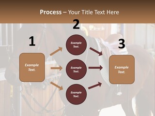 A Brown Horse Standing Next To A Stable PowerPoint Template