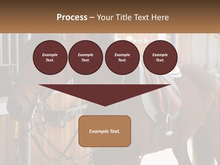 A Brown Horse Standing Next To A Stable PowerPoint Template