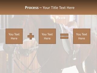 A Brown Horse Standing Next To A Stable PowerPoint Template