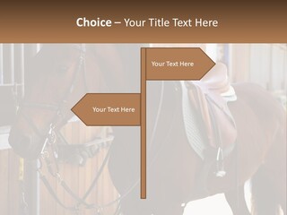 A Brown Horse Standing Next To A Stable PowerPoint Template