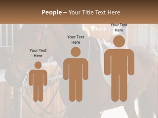 A Brown Horse Standing Next To A Stable PowerPoint Template