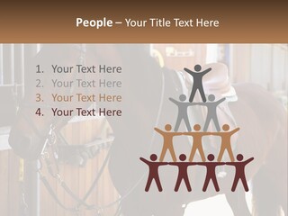 A Brown Horse Standing Next To A Stable PowerPoint Template