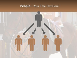A Brown Horse Standing Next To A Stable PowerPoint Template
