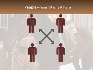 A Brown Horse Standing Next To A Stable PowerPoint Template