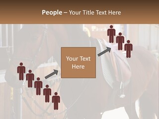 A Brown Horse Standing Next To A Stable PowerPoint Template