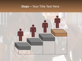 A Brown Horse Standing Next To A Stable PowerPoint Template