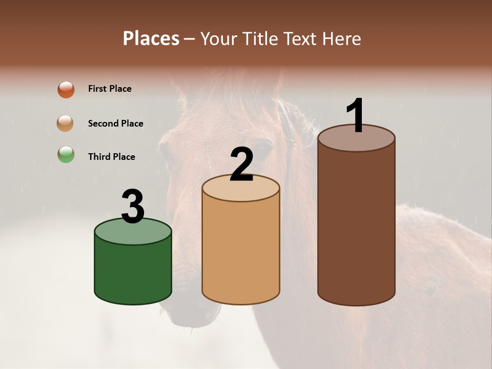 A Brown Horse Standing In The Rain Powerpoint Template PowerPoint Template