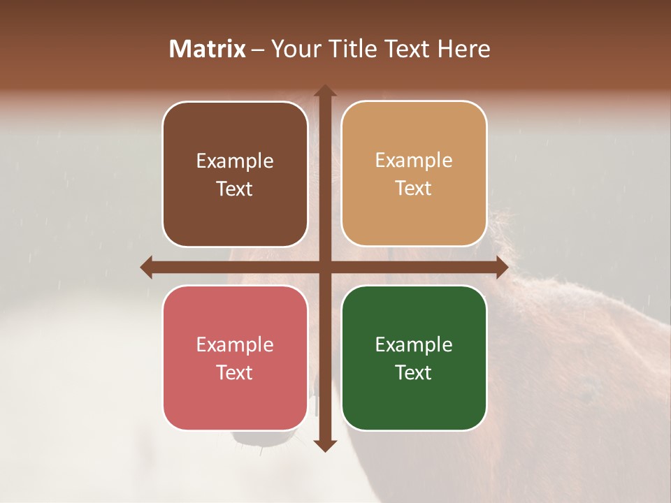 A Brown Horse Standing In The Rain Powerpoint Template PowerPoint Template