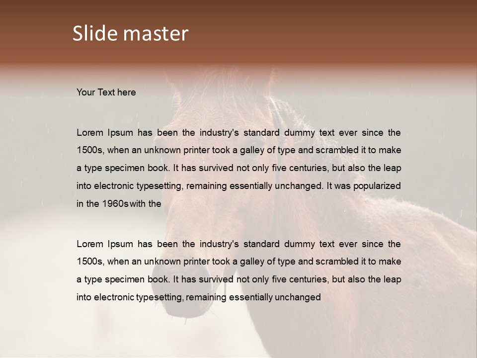A Brown Horse Standing In The Rain Powerpoint Template PowerPoint Template