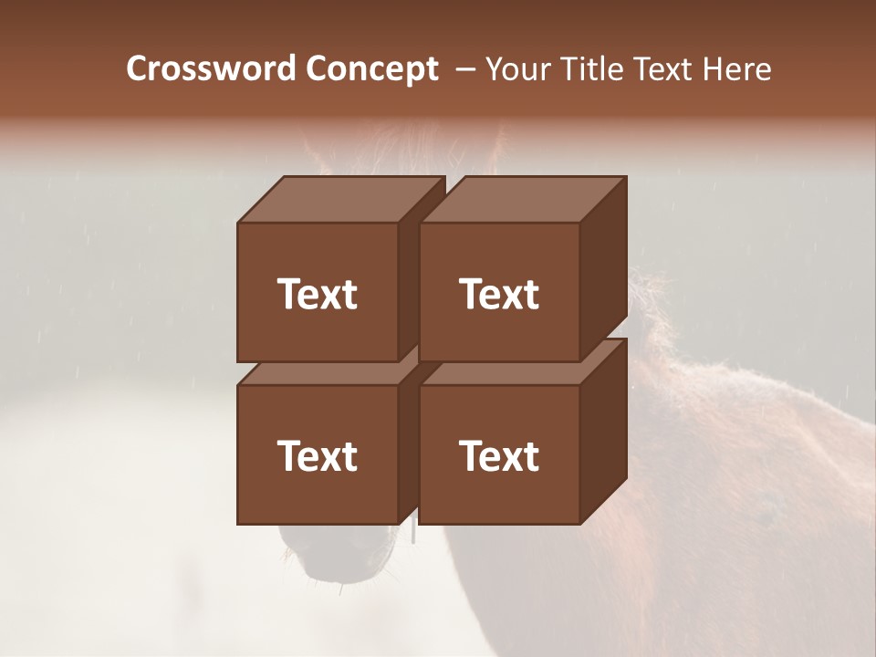 A Brown Horse Standing In The Rain Powerpoint Template PowerPoint Template