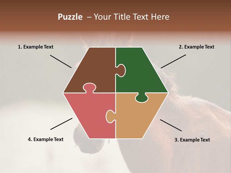 A Brown Horse Standing In The Rain Powerpoint Template PowerPoint Template
