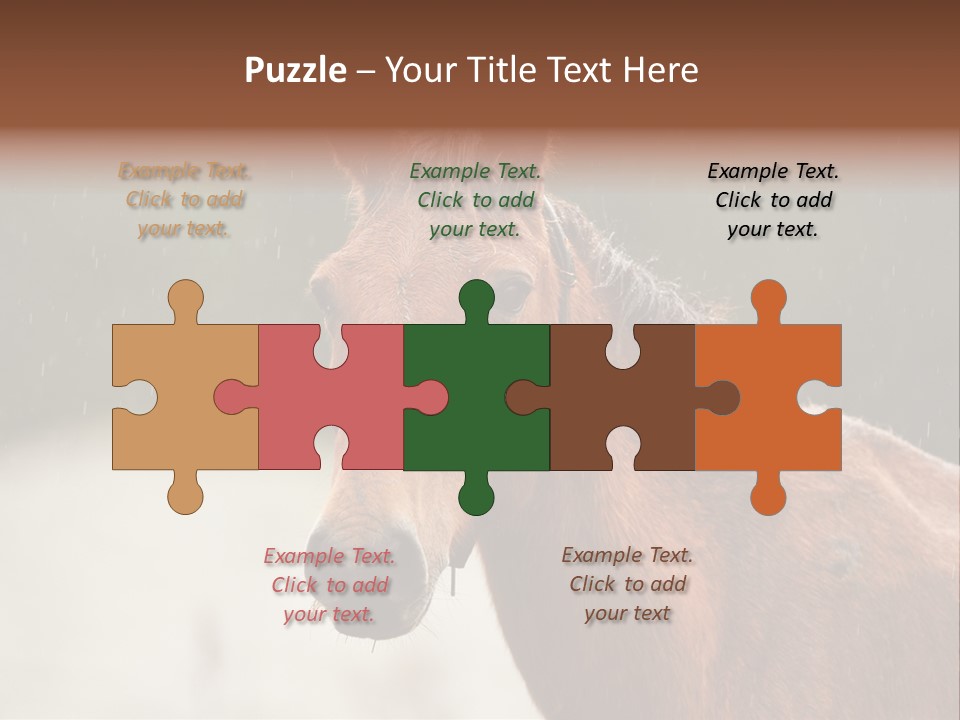 A Brown Horse Standing In The Rain Powerpoint Template PowerPoint Template