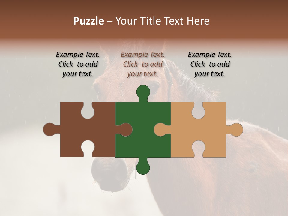A Brown Horse Standing In The Rain Powerpoint Template PowerPoint Template