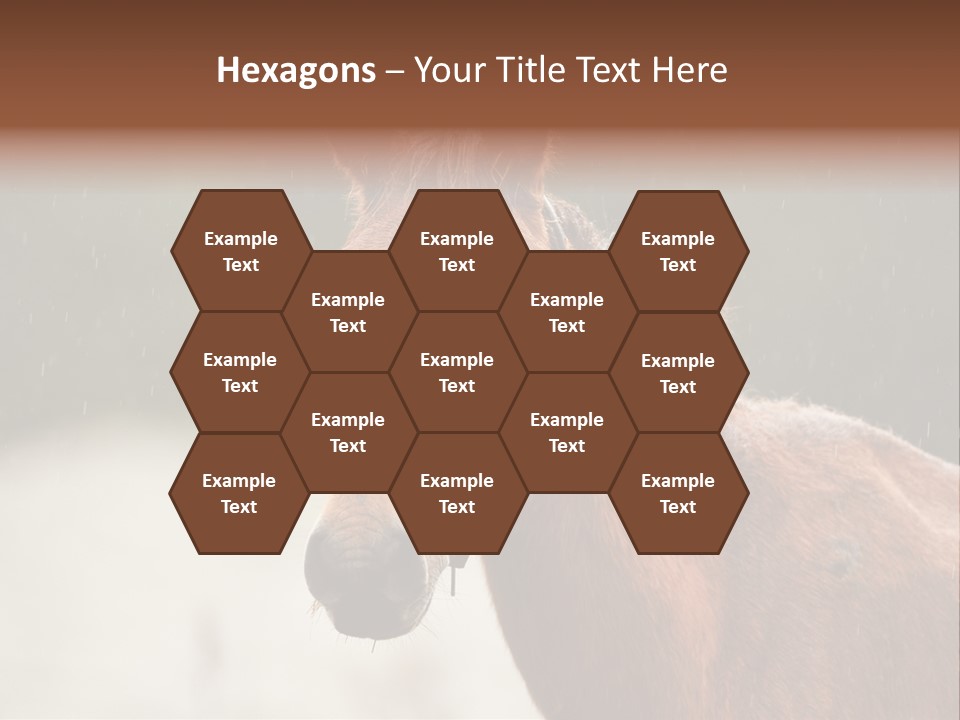 A Brown Horse Standing In The Rain Powerpoint Template PowerPoint Template