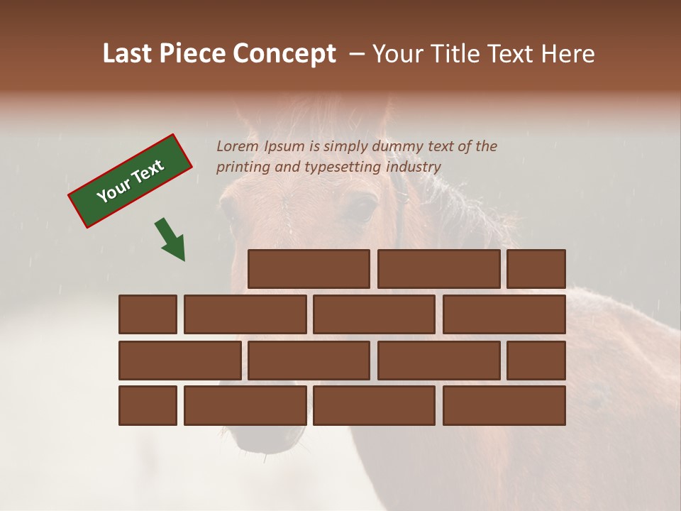 A Brown Horse Standing In The Rain Powerpoint Template PowerPoint Template