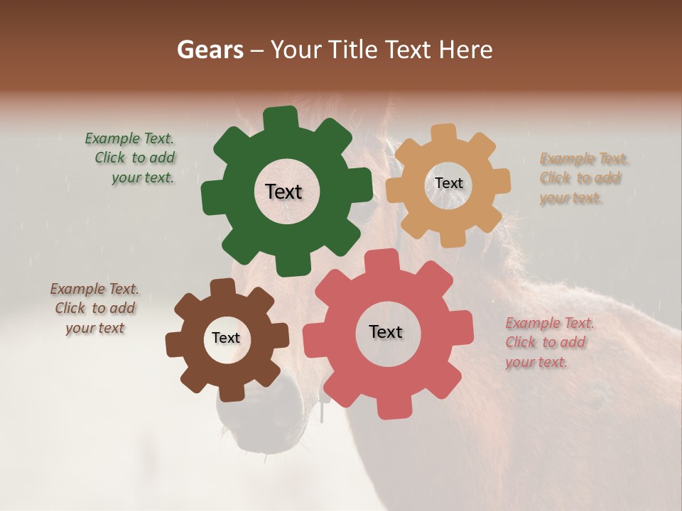 A Brown Horse Standing In The Rain Powerpoint Template PowerPoint Template