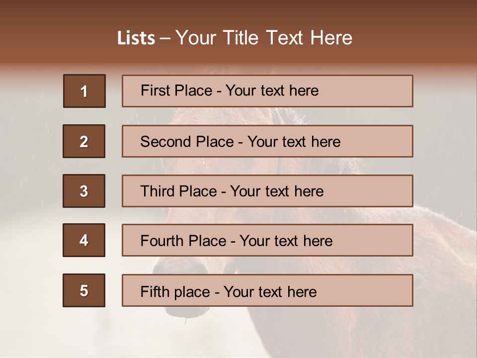 A Brown Horse Standing In The Rain Powerpoint Template PowerPoint Template