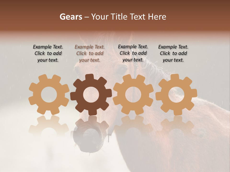 A Brown Horse Standing In The Rain Powerpoint Template PowerPoint Template