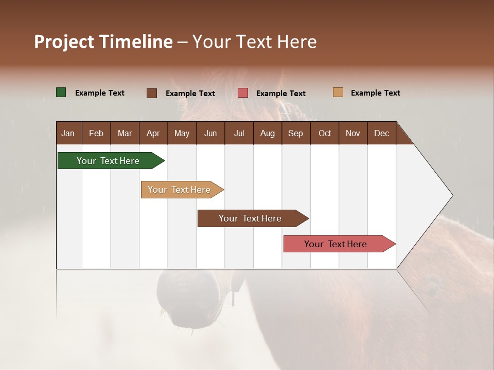 A Brown Horse Standing In The Rain Powerpoint Template PowerPoint Template
