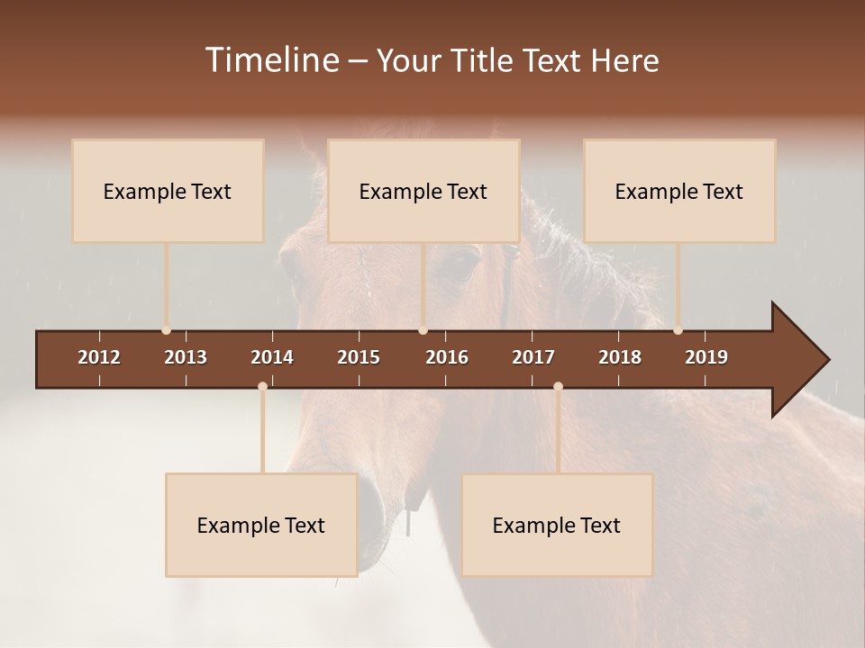 A Brown Horse Standing In The Rain Powerpoint Template PowerPoint Template