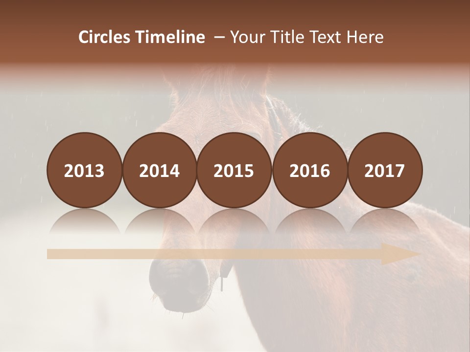 A Brown Horse Standing In The Rain Powerpoint Template PowerPoint Template